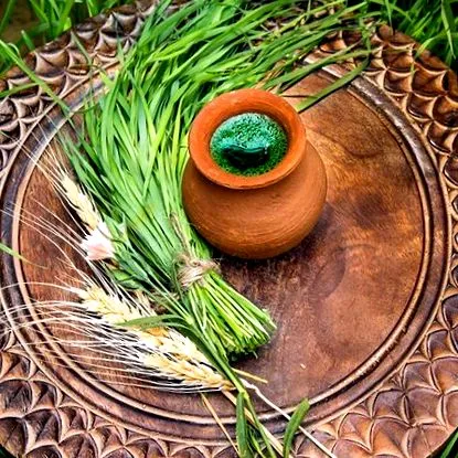 búzafű