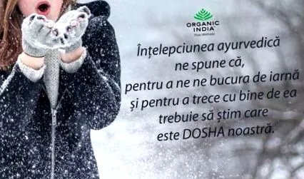 сезон