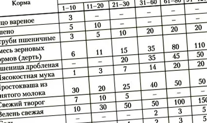 pulykák napi