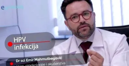 vírus trudnoca