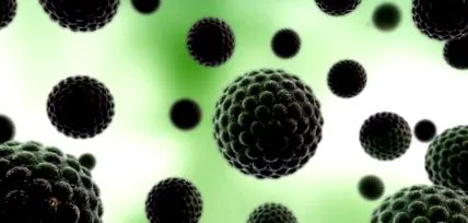virus