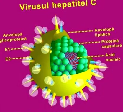 hepatitis