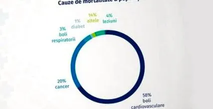 dôležitosť medlife