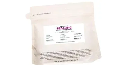 pegasing