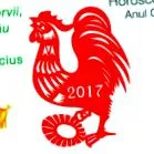 horoskop