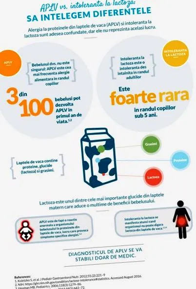 megértése megértése
