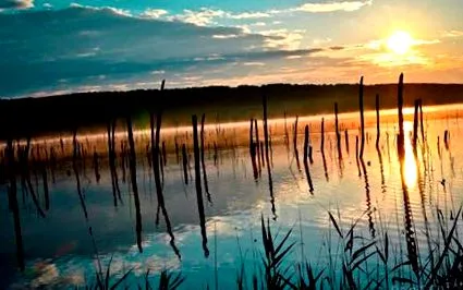 іноземцево