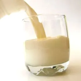szervezetre fontos