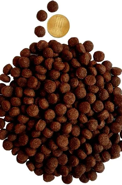 tartalmaz amely