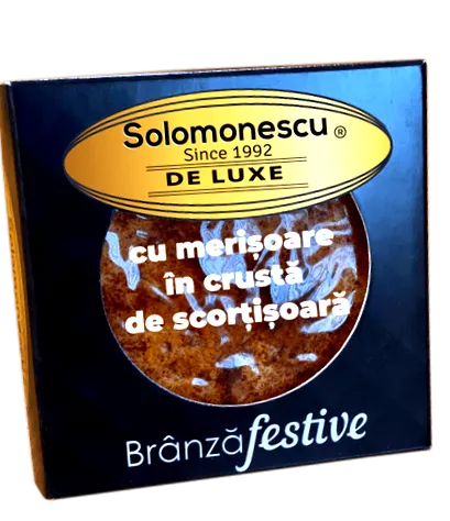 solomonescu solomonescu