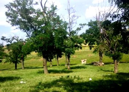 group