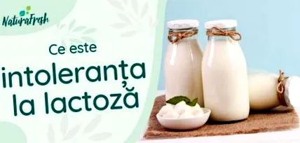 алтернативи лактоза