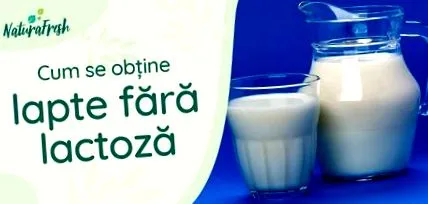лактоза млеко