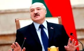 германскиот организира