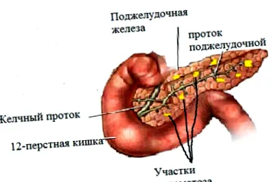 pankreatických