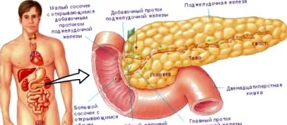 szakaszok lipomatosis