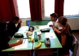 reformed zsigmond