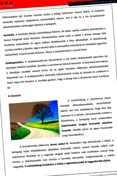 висока далекогледство