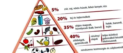 правилното какво