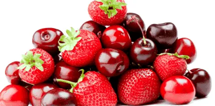 dukan-t dukan-t