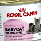 macskaeledel purina