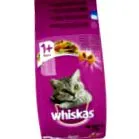 purina purina
