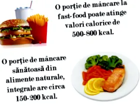 táplálkozás test