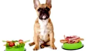 egészséges boldog
