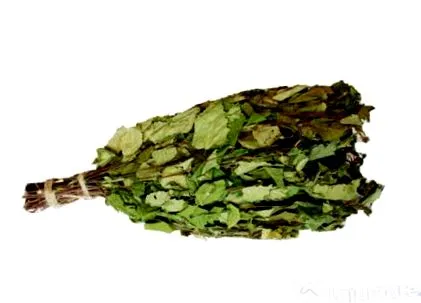 сауна