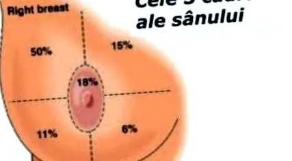 гърдата