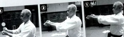 daito-ryu daito-ryu