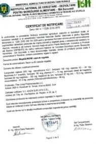 egészsége