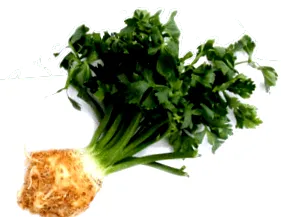 rohanó
