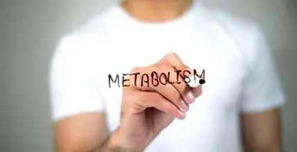metabolikus