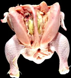 mély