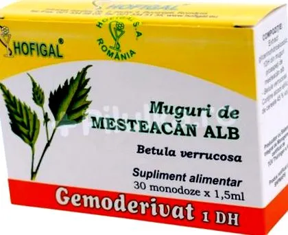 rügyek