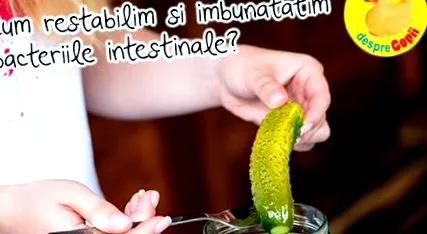 hagyományos erjesztett helyreállítására