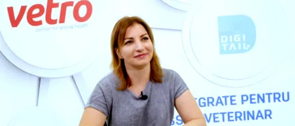 élelmiszer