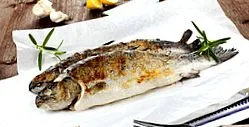 szenvedő táplálkozás