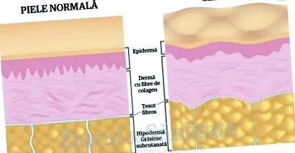 Beauty Help