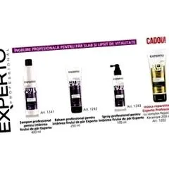experto