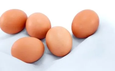 јајца јајце