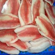 pangasius pangasius