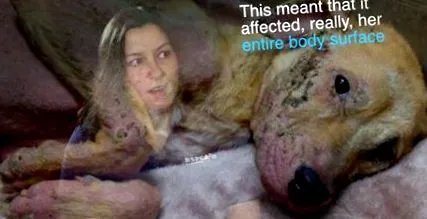 papillómák