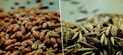 всички западни Европейския съюз