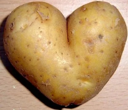 veszély vegán