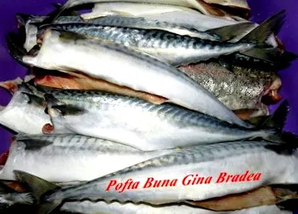 recept