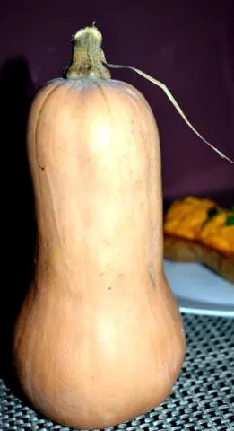 RETETE DUKAN