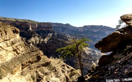 Jebel Shams