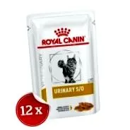 Ingyenes szállítás